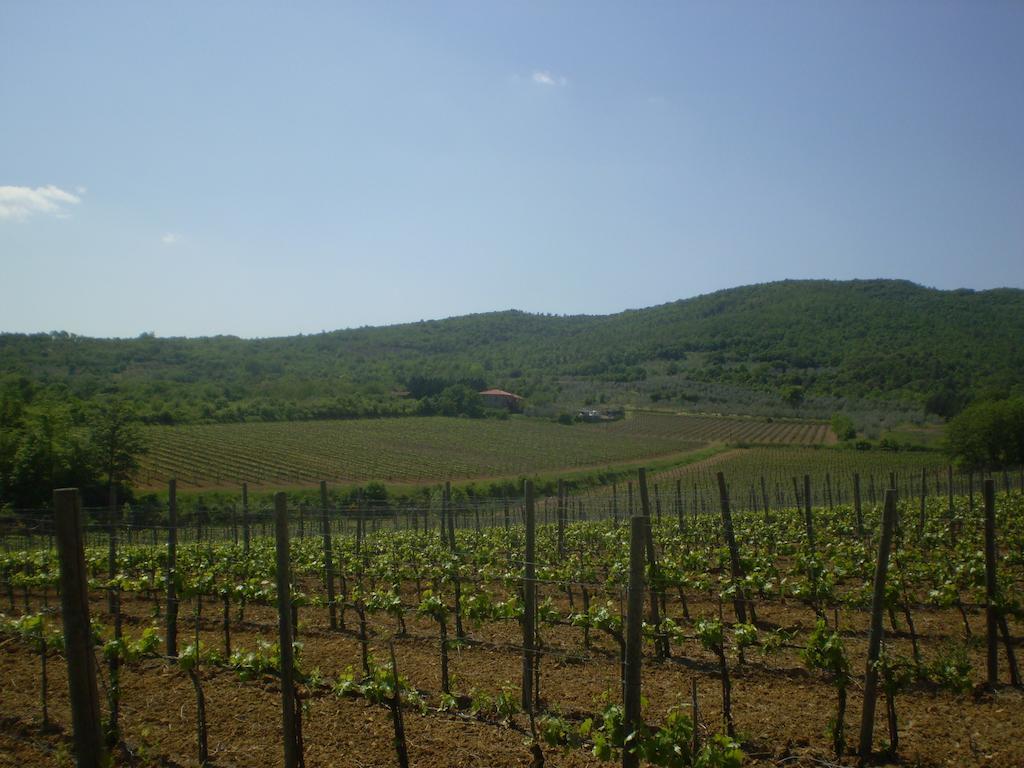 Agriturismo La Cella Villa Арецо Екстериор снимка